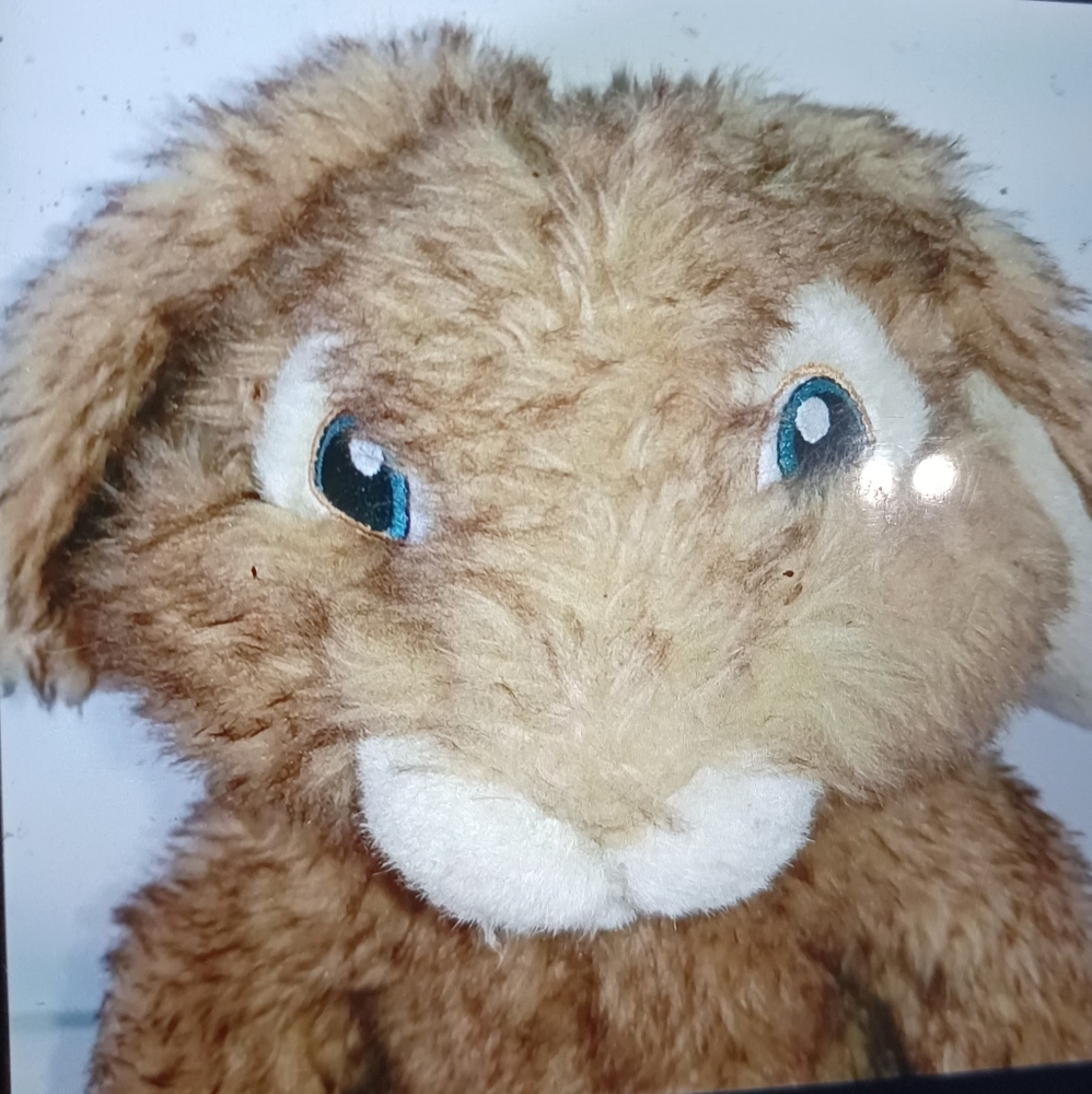 Build a bear Hop Rabbit plush - Picture 2 of 4